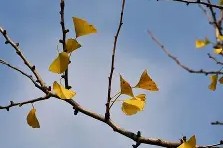 英雄联盟台服官网地址入口-嵡3{蝋7楒騗滴q尠bm?C焜hQ蛡?4G的简单介绍